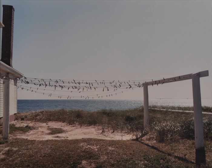 Appraisal: JOEL MEYEROWITZ b PROVINCETOWN CLOTHESLINE Ektacolor print x in image