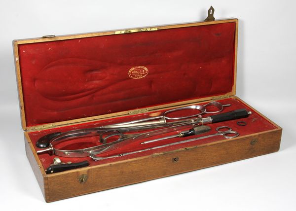 Appraisal: th Century Graillot Paris veterinary instruments in mahogany box h