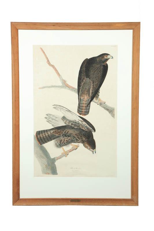 Appraisal: BLACK WARRIOR BY JOHN JAMES AUDUBON NEW YORK - Colored