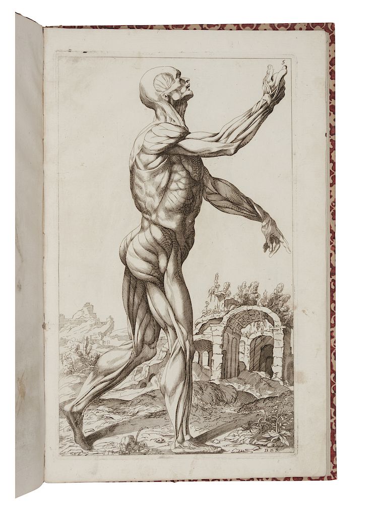 Appraisal: VESALIUS BONAVERA Domenico - Notomie de Titiano Bologna c FIRST