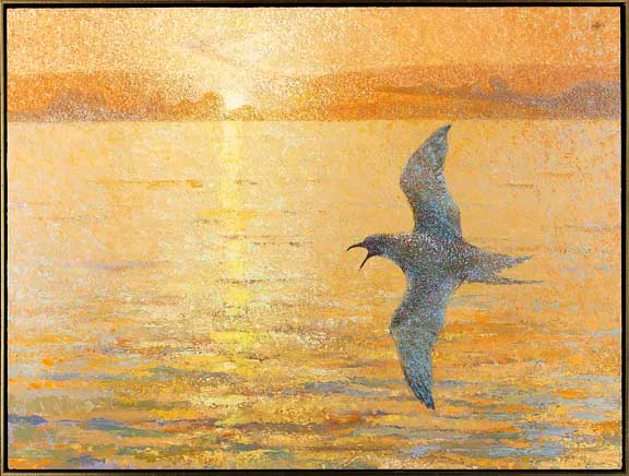 Appraisal: Hib Sabin American New Mexico born Lone Gull oil on