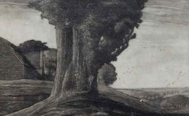 Appraisal: Russell Alexander Trees signed lower right in pencil etching