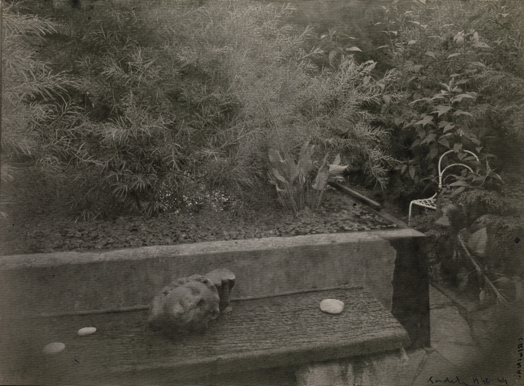 Appraisal: JOSEF SUDEK - Quiet in the Magic Garden Silver print