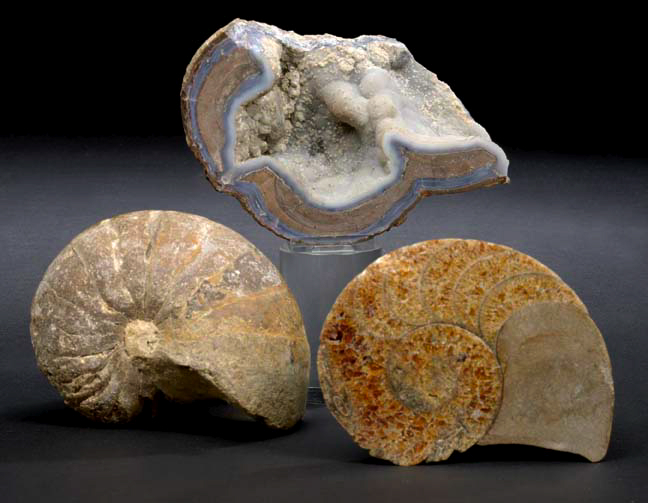 Appraisal: Interesting Agate and Limestone Geode Specimen the limestone exterior artistically