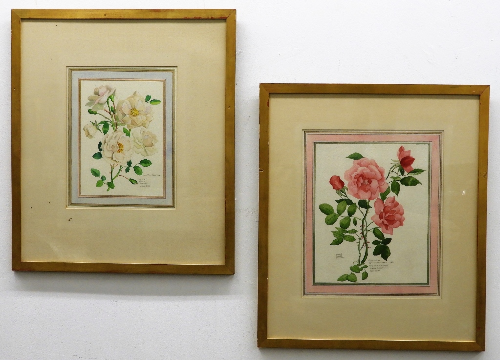 Appraisal: PR HERBERT MARSDEN BOTANICAL WATERCOLOR PAINTINGS United States Dated Two