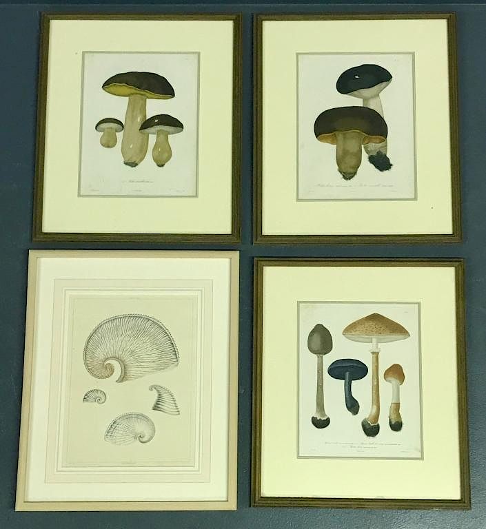 Appraisal: Grouping of Mushroom Prints and Another Print Three framed and