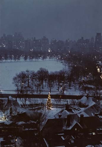 Appraisal: ORKIN RUTH - Christmas Tree in Central Park N Y