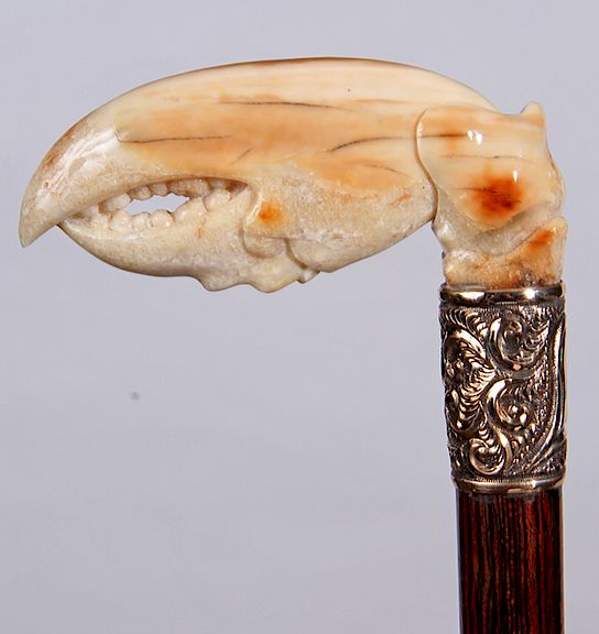 Appraisal: Fossilized Lobster Claw th Century- A carved fossilized ivory claw