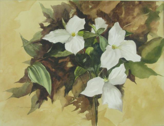 Appraisal: Doris O Turnbaugh IN - x watercolor titled Spring Trillium