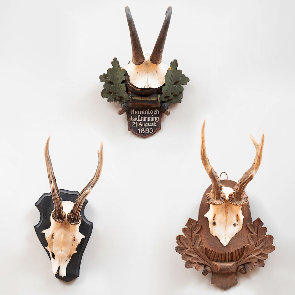 Appraisal: Group of Three Deer Trophies On wood mounts The largest