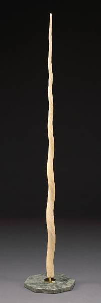 Appraisal: Large Narwhal Tusk Monodon monoceras Arctic Circle A widely unknown