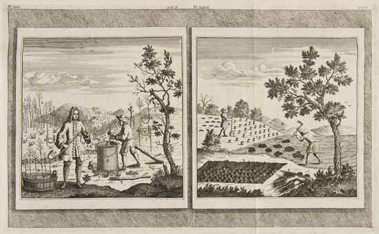 Appraisal: Agricola Georg Andreas The Experimental Husbandman and Gardener containing a