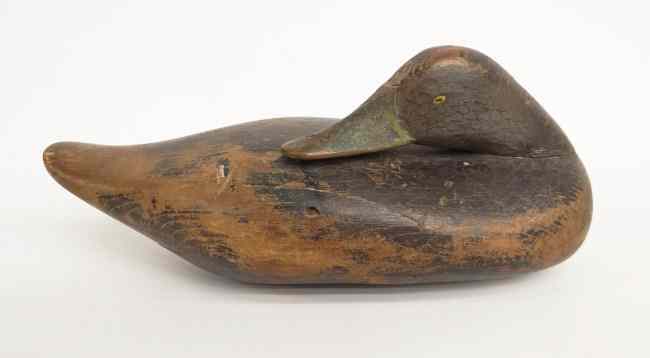 Appraisal: Madison Mitchell black duck painted decoy sleeper '' Length ''