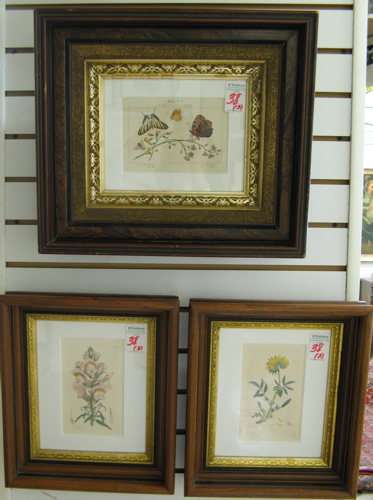 Appraisal: THREE HAND COLORED BOTANICAL ENGRAVINGS two dated all with Latin