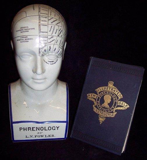 Appraisal: A phrenology head of usual form cm high and Fowler