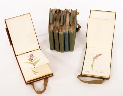 Appraisal: Early th Century Botanical Studies a collection of approximately two