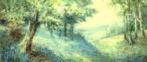 Appraisal: Maude Angell fl - - Bluebells watercolour on ivory signed