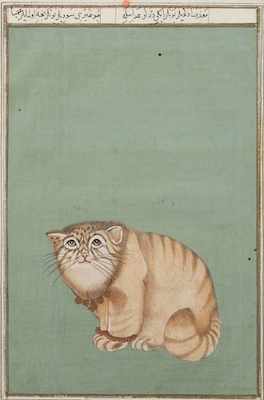 Appraisal: A Persian Manuscript Illustration of A Cat Depicting a seated