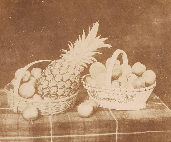 Appraisal: William Henry Fox Talbot British - A Fruit Piece c