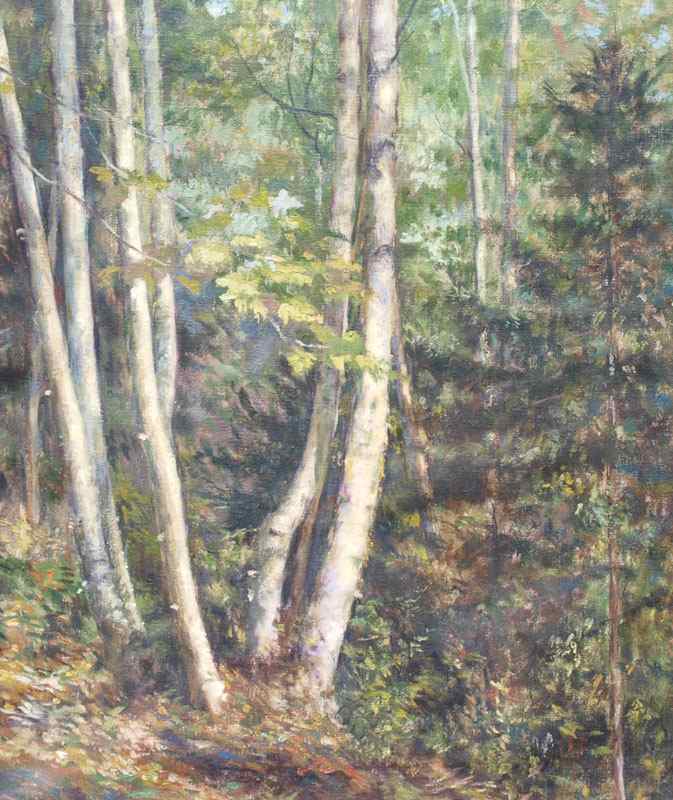 Appraisal: AMERICAN IMPRESSIONIST PAINTING OF BIRCHES AND FOREST Oil Canvas ''