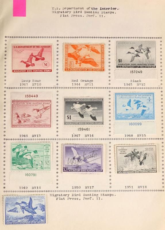 Appraisal: A COLLECTION OF US MIGRATORY BIRD HUNTING STAMPS A COLLECTION