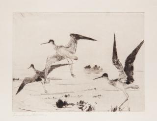 Appraisal: Frank W Benson - Three Yellowlegs signed Frank W Benson