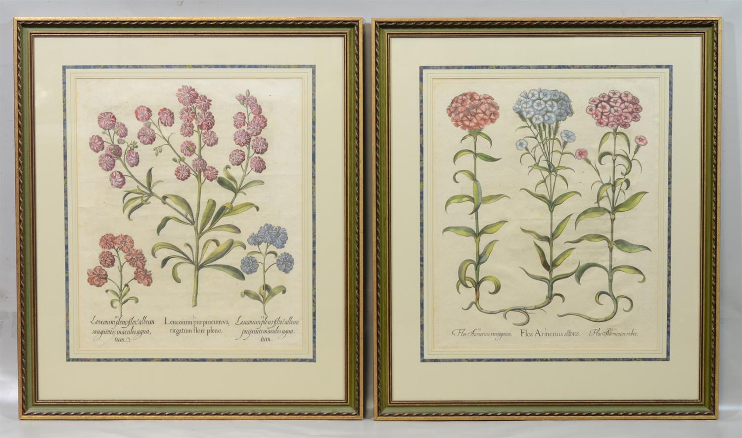 Appraisal: Basil Besler German - hand colored engraving Plates from Hortus