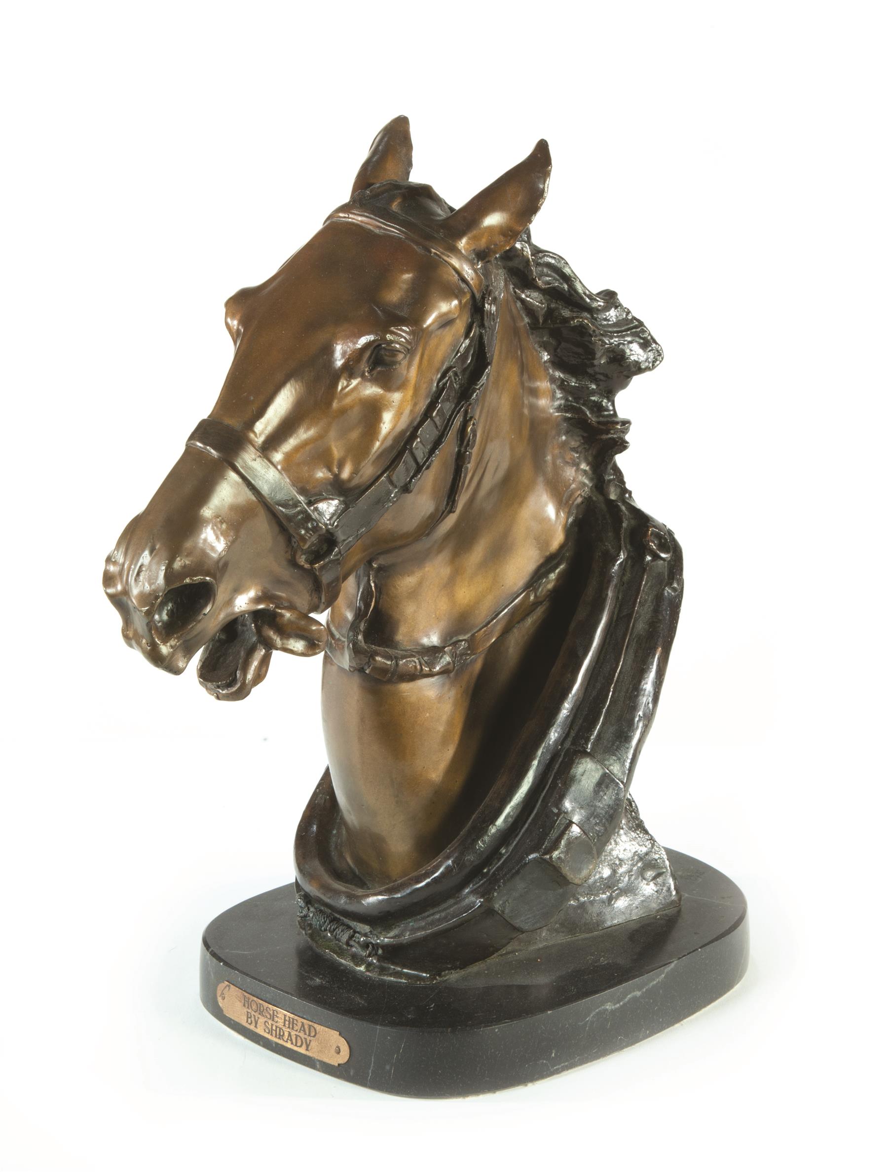 Appraisal: HORSE HEAD BY HENRY SHRADY NEW YORK - Bronze signed