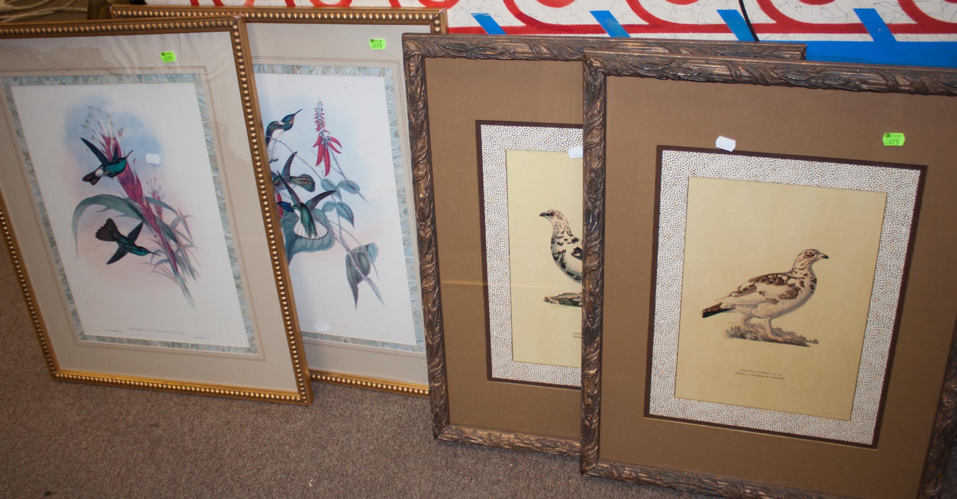 Appraisal: Four framed prints including two bird prints and two Gould