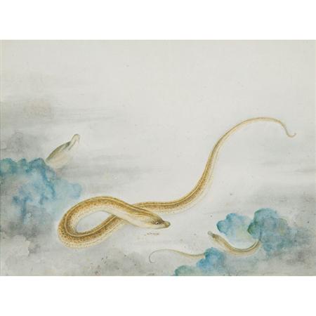 Appraisal: Chinese School th th Century Depicting Eels Estimate -