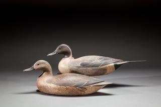 Appraisal: Pintail Pair by Frank S Finney b Pintail PairFrank S