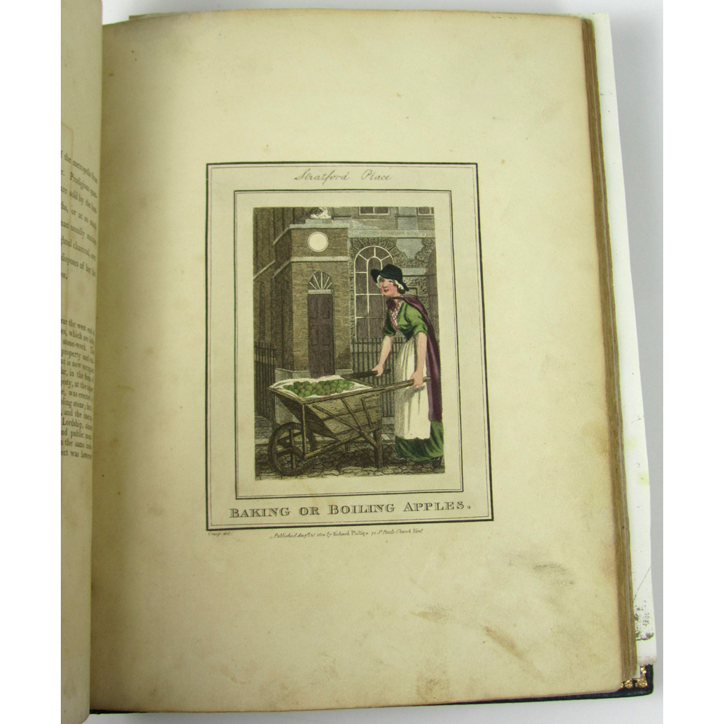 Appraisal: Craig William Marshall - Hand-coloured plates Description of the Plates