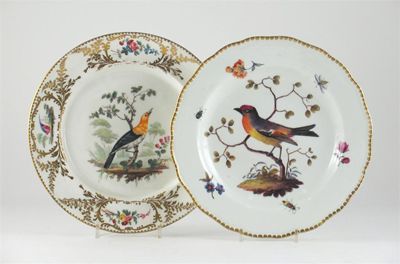 Appraisal: Two ornithological plates one Meissen with cancelled crossed swords mark