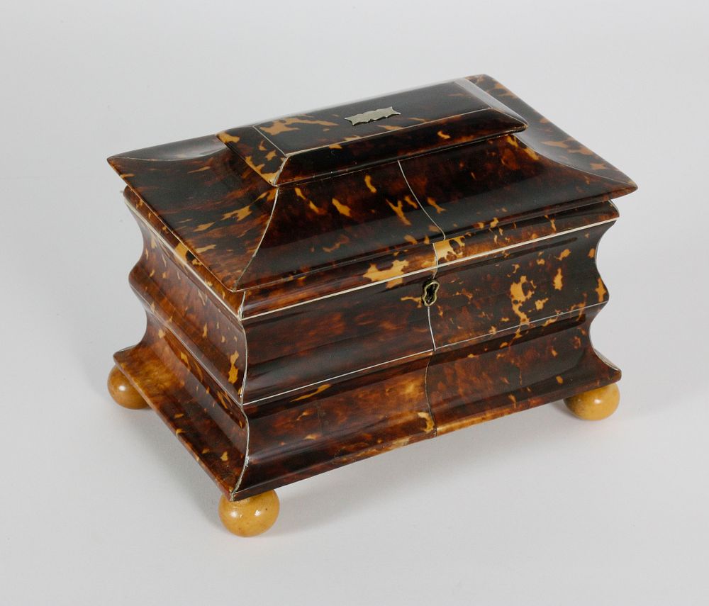 Appraisal: Early th Century English Regency Tortoiseshell Double Compartment Tea Caddy