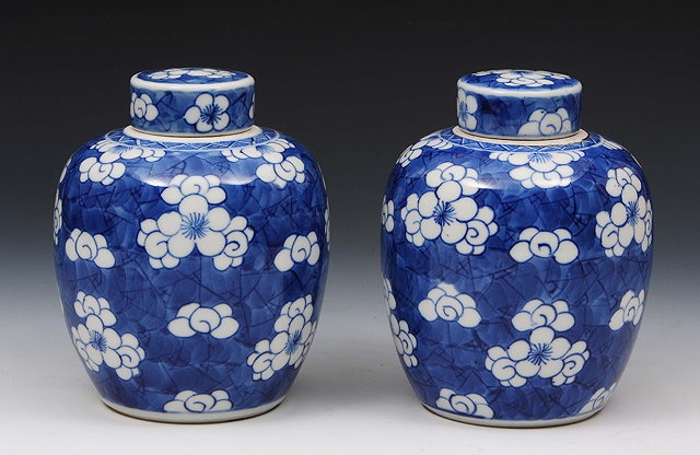 Appraisal: A pair of chinese blue and white porcelain ginger jars