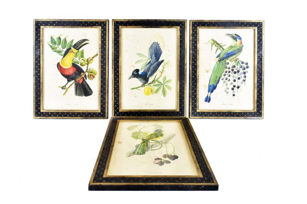 Appraisal: JEAN THEODORE DESCOURTILZ ORNITHOLOGICAL PRINTSSet of Four Ornithological and Fruit