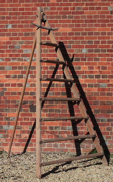 Appraisal: AN OLD PINE APPLE PICKING LADDER of triangular form with