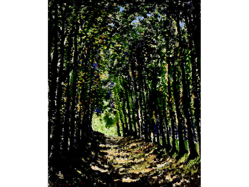 Appraisal: NORMAN LLOYD AUSTRALIAN - Sunlit forest path oil on canvas