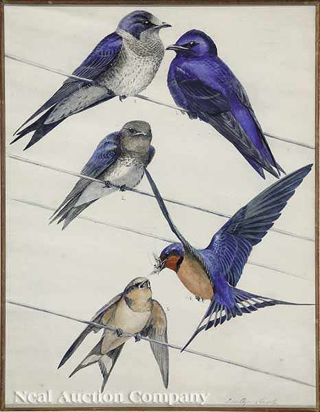 Appraisal: Louis Agassiz Fuertes American - Barn Swallow on electric wires