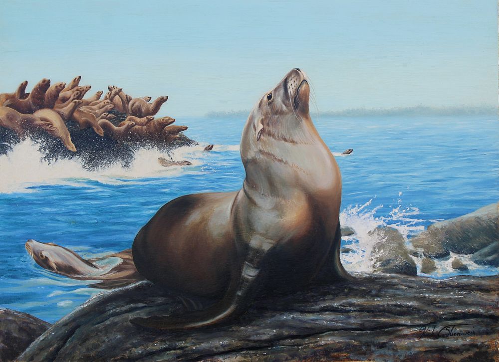 Appraisal: Kirk Stirnweis B California Sea Lion Kirk Stirnweis Colorado New