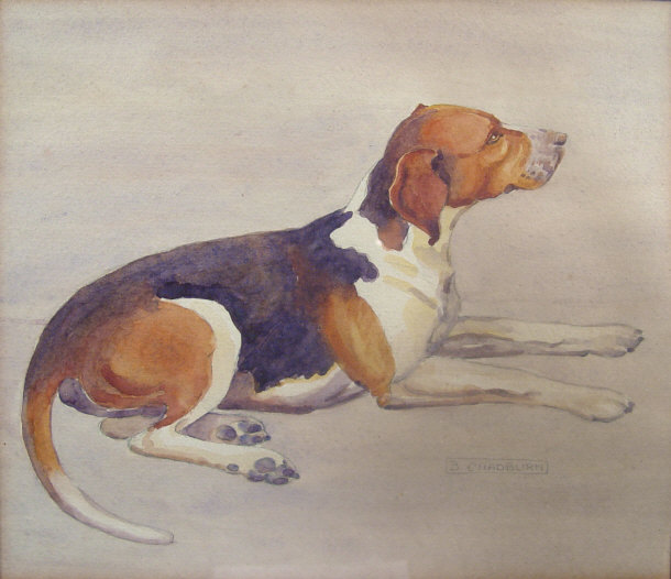 Appraisal: B Chadburn - Watercolour of a resting dog signed and