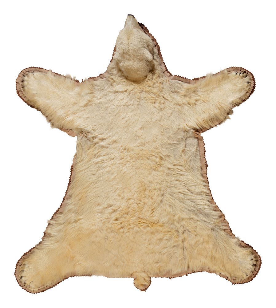 Appraisal: A Taxidermy Polar Bear Rug A Taxidermy Polar Bear Rug