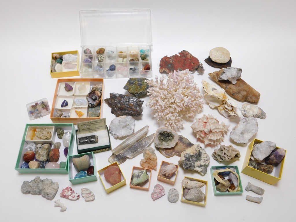 Appraisal: LG COLLECTION OF MINERAL OCEANIC SPECIMENS Continental th CenturyOver one