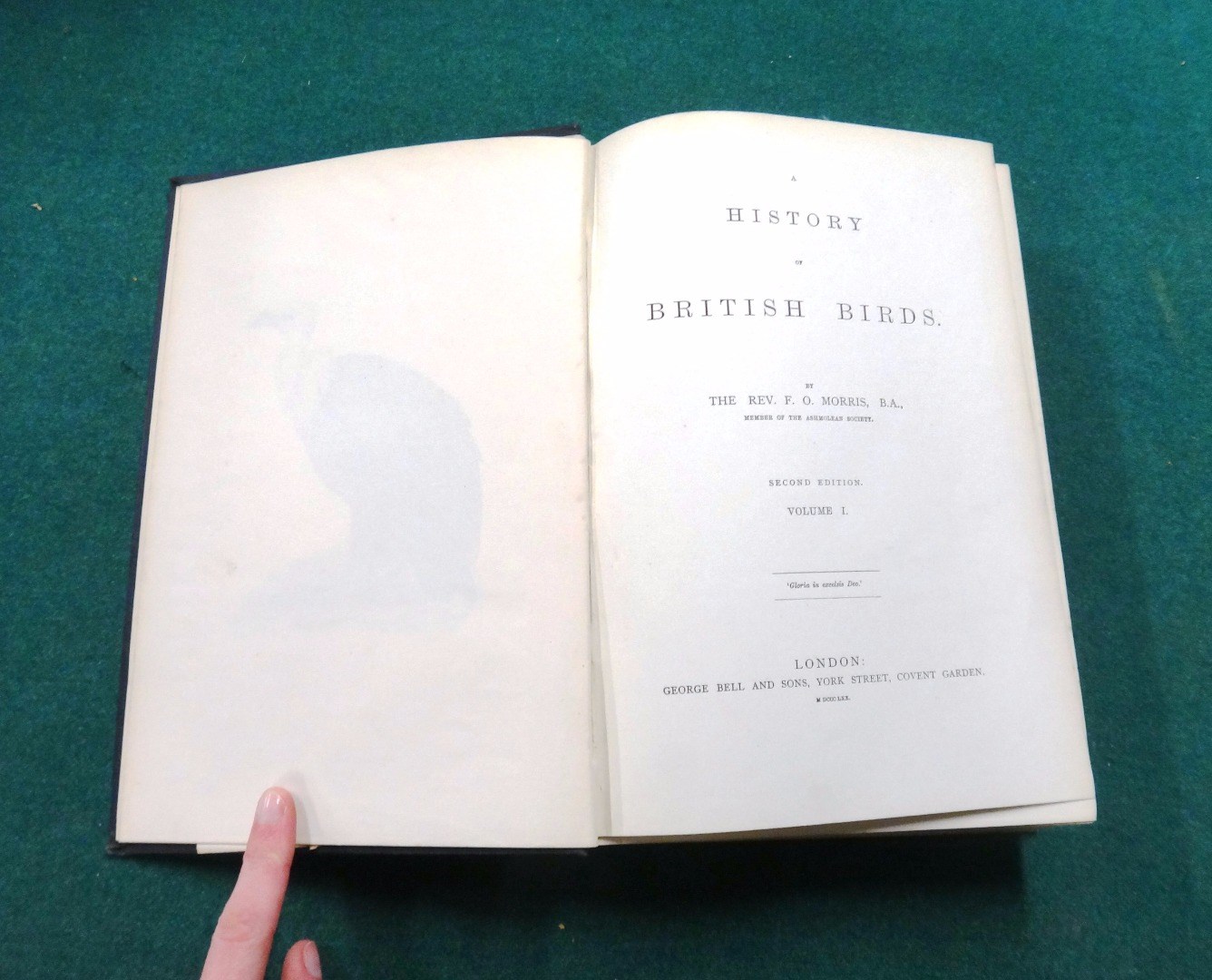 Appraisal: MORRIS Rev F O A History of British Birds nd