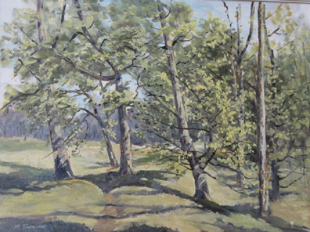 Appraisal: ROBERT THOMSON oil on board 'Sunlight on Trees' signed