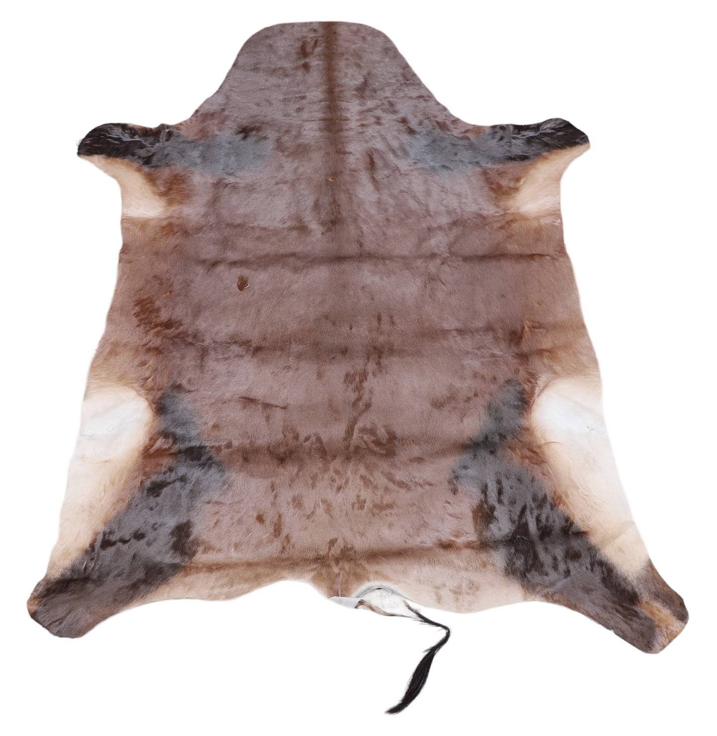 Appraisal: African Hartebeest Antelope Skin Rug Tanned Hide some damages '