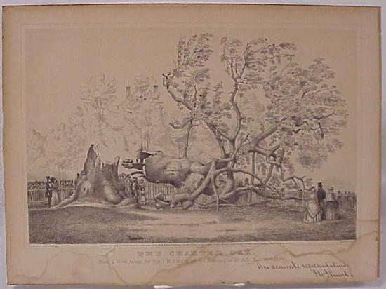 Appraisal: Kellogg lithograph of The Charter Oak representation of I W