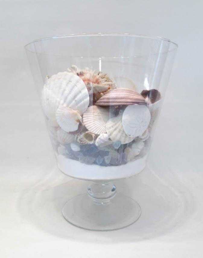 Appraisal: GLASS FOOTED VESSEL WITH SHELL COLLECTION including clam conch whelk