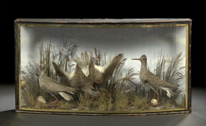 Appraisal: Good J Cooper St Luke's Diorama Case Containing a Trio