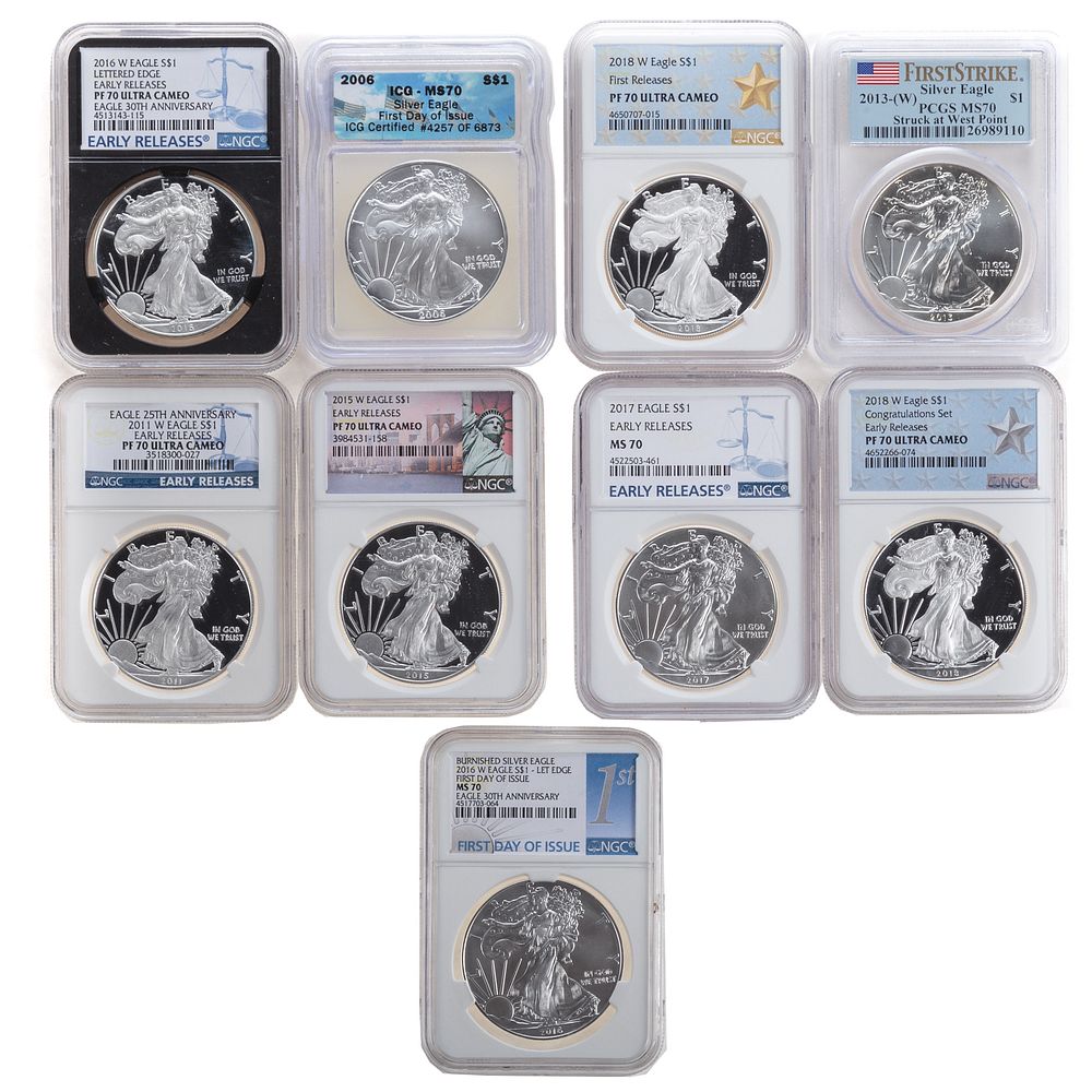 Appraisal: Nine High Grade Silver Eagles NGC PCGS ICG ICG-MS First